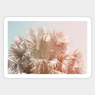 Pastel Palms Sticker